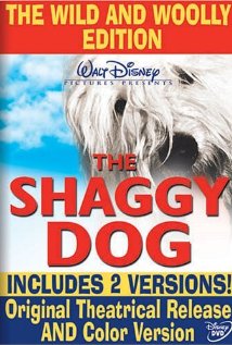 The Shaggy Dog