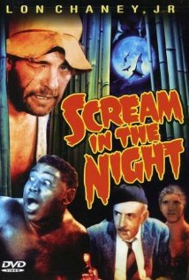 Scream in the Night