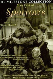 Sparrows