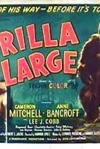 Gorilla at Large
