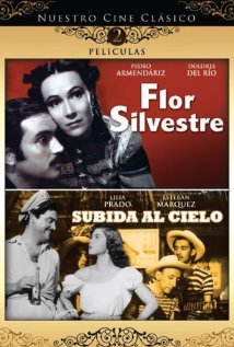 Flor Silvestre