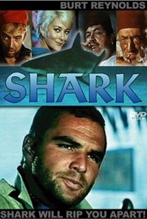 Shark!