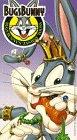 Buccaneer Bunny