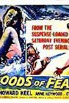 Floods of Fear