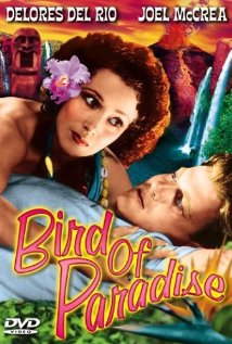 Bird of Paradise