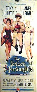 The Perfect Furlough