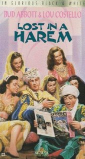 Lost in a Harem