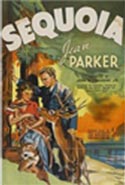 Sequoia