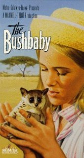 The Bushbaby