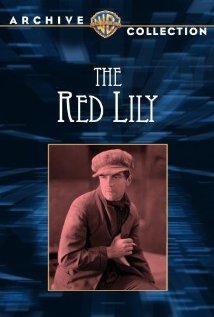 The Red Lily