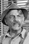 Denver Pyle