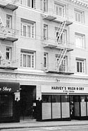 Maltese Falcon House