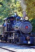 High Noon Train (Railtown Park)